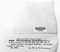 Image Associated With the Occurence